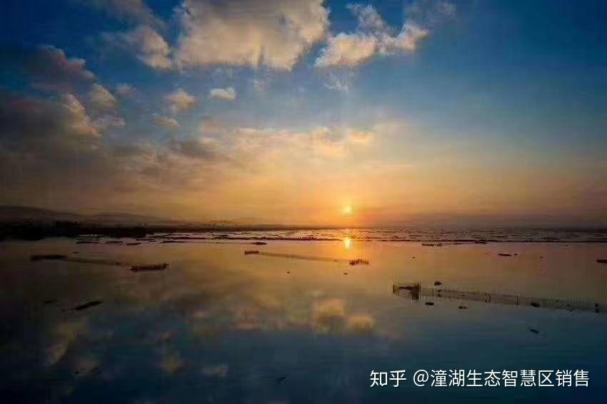 今天的潼湖,明天的松山湖