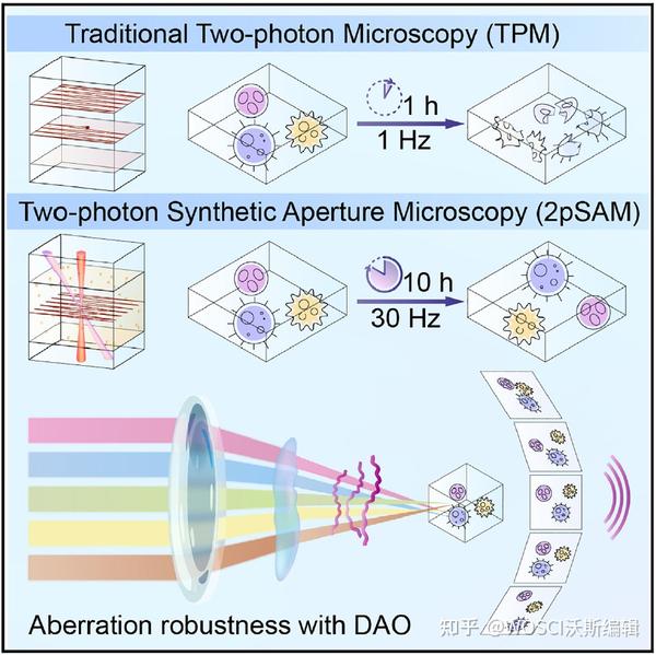 Cell | 清华大学开发新型双光子显微镜,能对深层组织进行长时间的3D成像 - 知乎