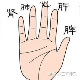 我们的五根手指,分别代表什么? - 知乎