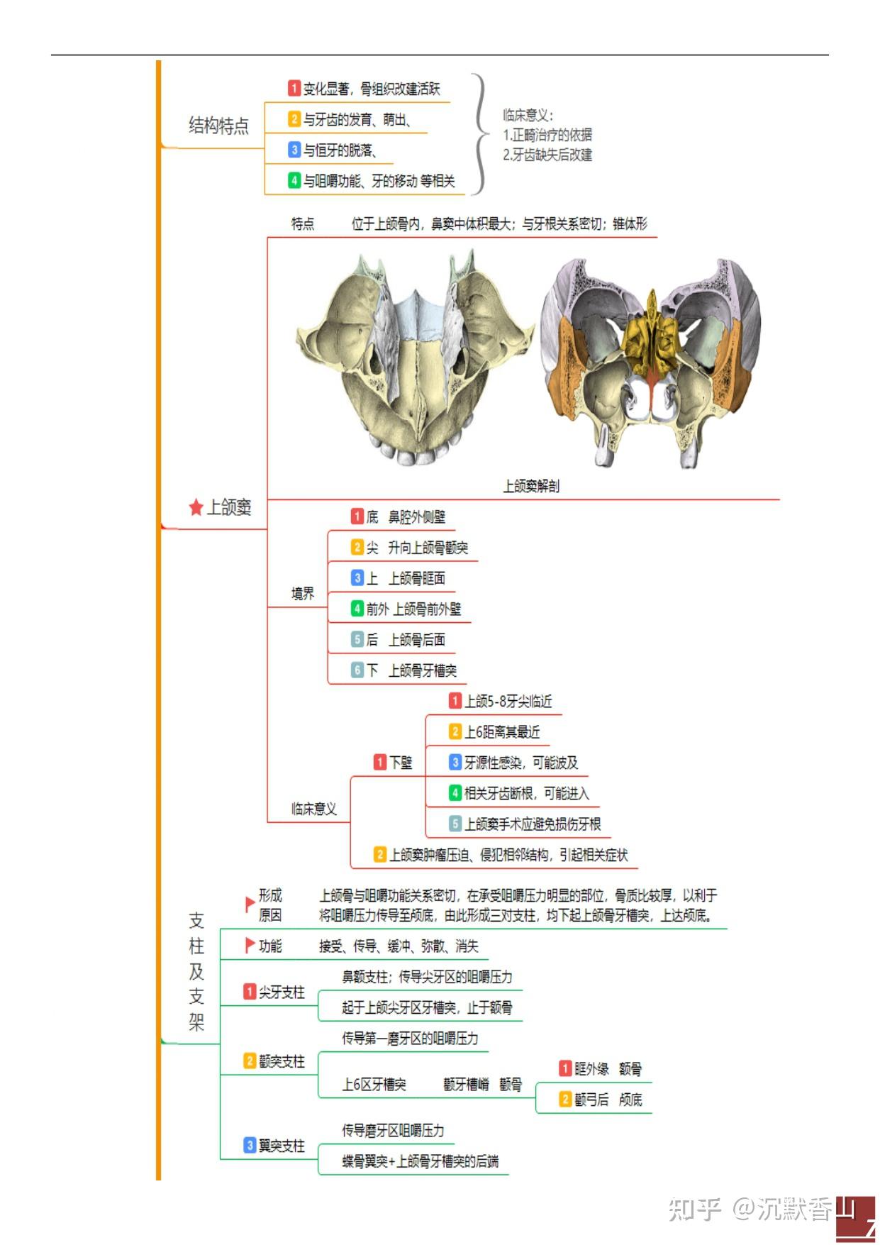 口颌面颈部肌思维导图