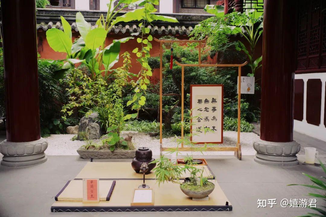 去成都,沒在老茶館裡泡過怎麼算數 - 知乎