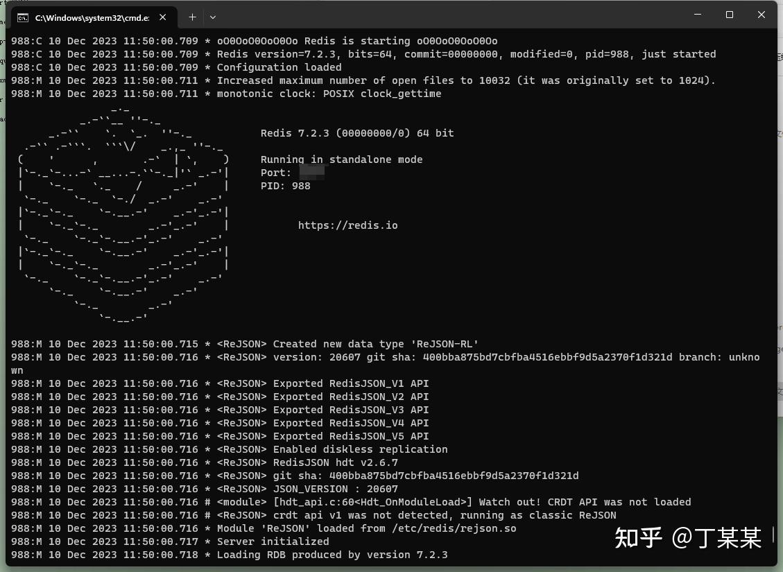 Ubuntu server24 04 2 redis7 4 2 