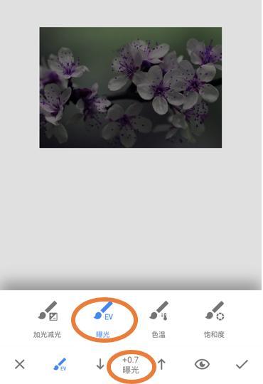 手机修图用好神奇画笔工具修出专业水平snapseed教程15
