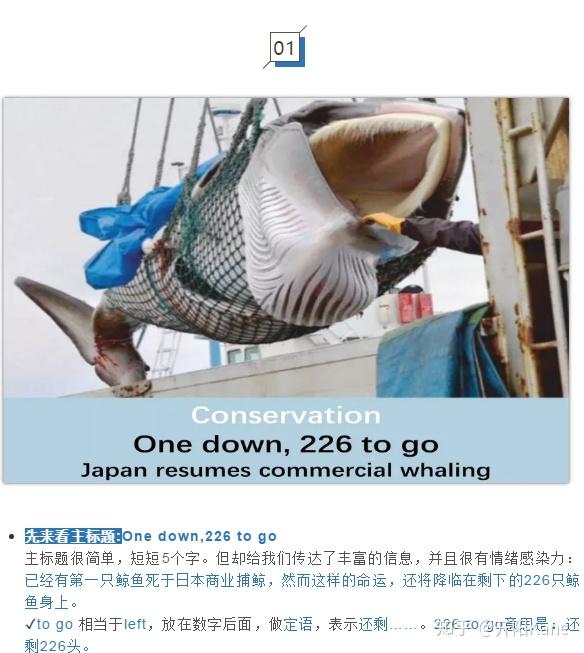 经济学人精读海鲸之殇日本宣布将屠杀227头鲸鱼