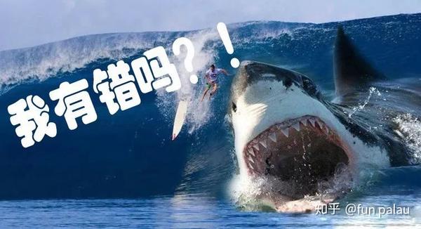 巨齿鲨告诉你最恐怖的生物并不是鲨鱼