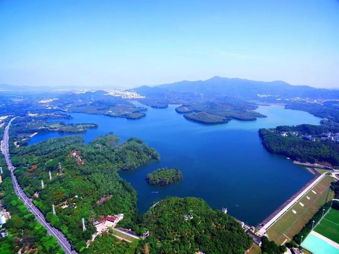 住西丽的人要发了今天起全深圳都在羡慕