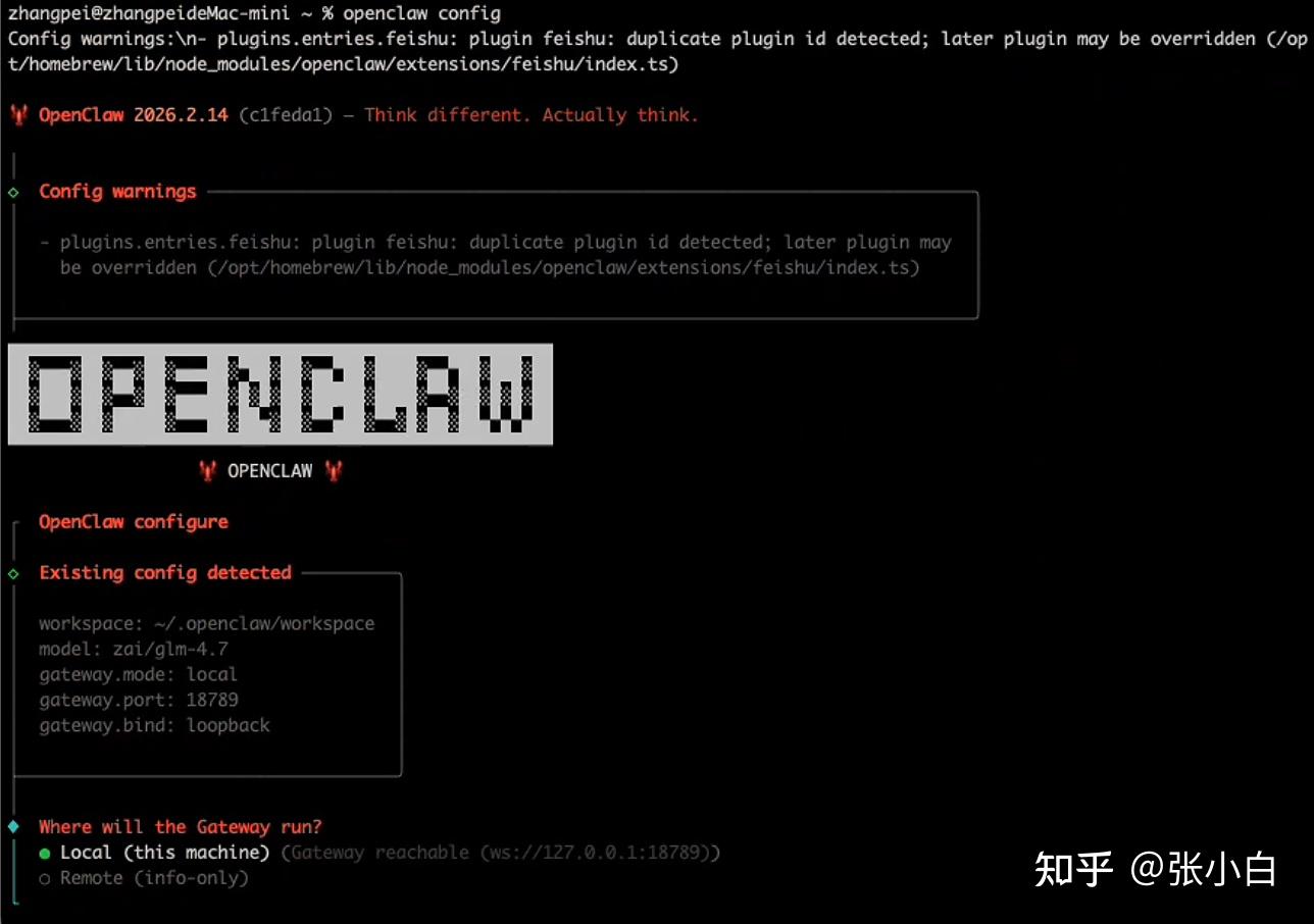 Openclaw Config File 在Mac Mini上安装OpenClaw实战 - 知乎