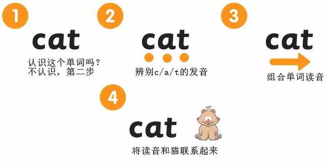 自然拼读和音标你该让孩子学哪个