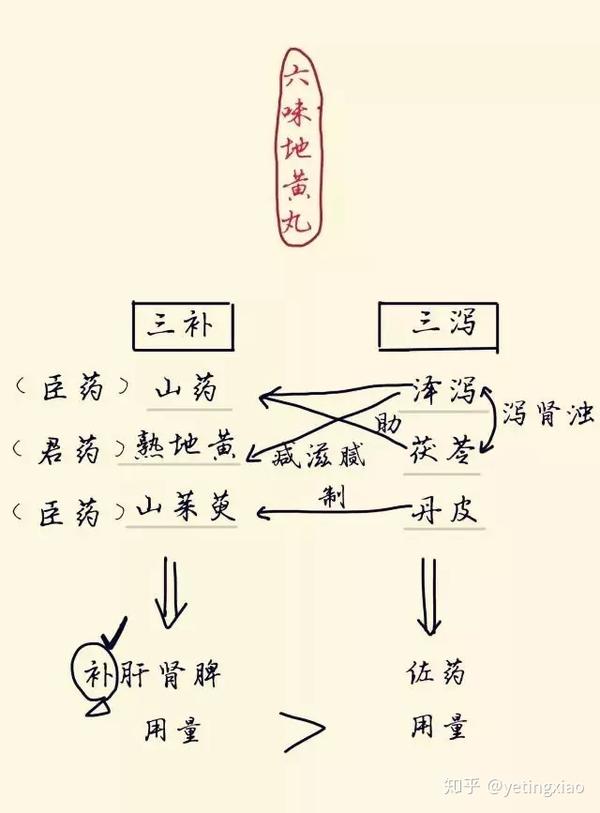 道破天机六味地黄丸的前世今生