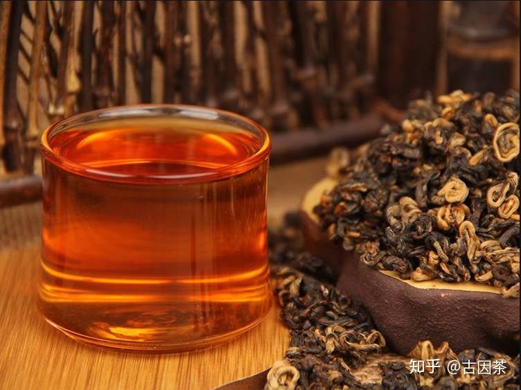 滇紅茶金螺的泡法你掌握了嗎