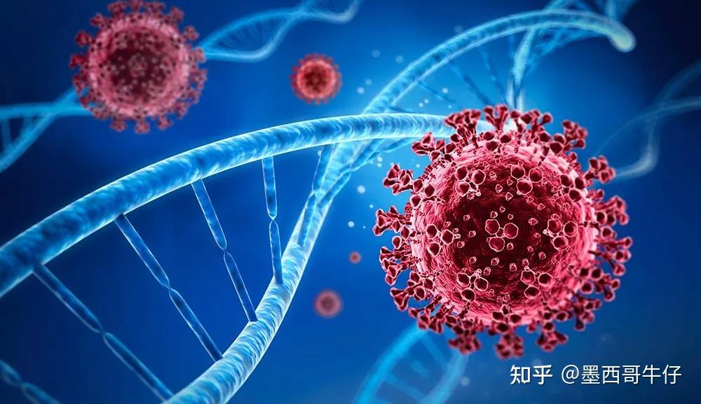 确认新冠jn1变体入侵墨西哥