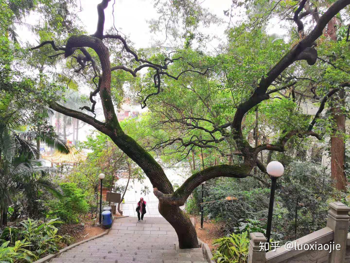 踏青季广州番禺大石这里有个悠闲好景区关帝岗