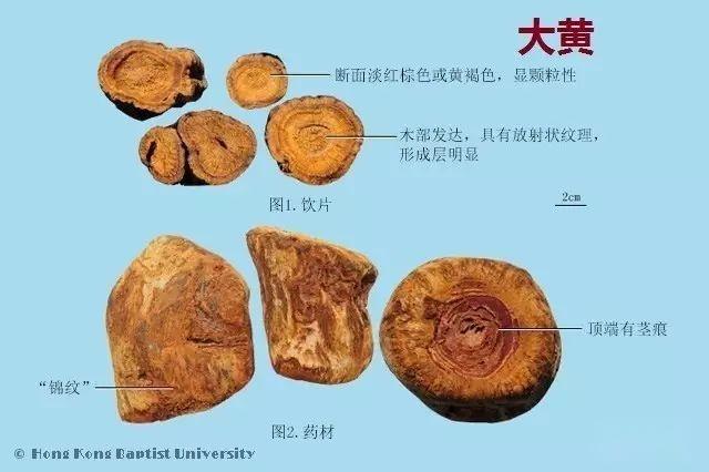 223种中药的鉴别图谱（彩图注释） - 知乎
