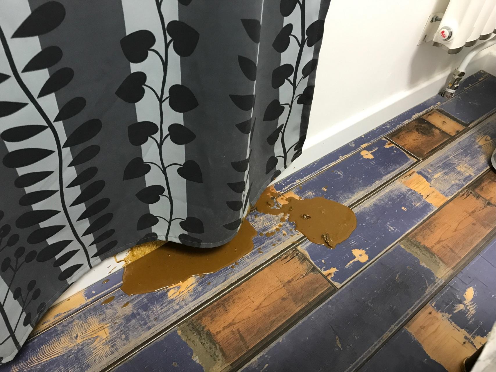 狗狗可以喝牛奶吗?