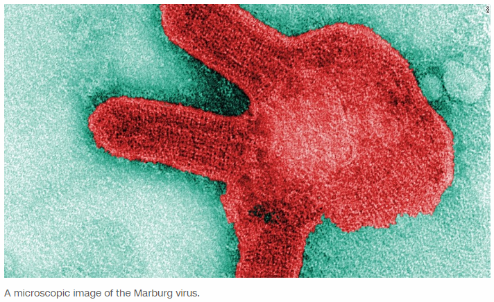馬爾堡病毒病是一種非常罕見的人類疾病,然而,當它發生時就有可能傳播