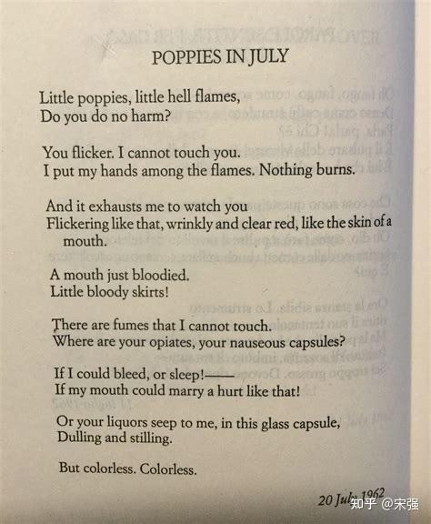 sylvia-plath-poppies-in-july