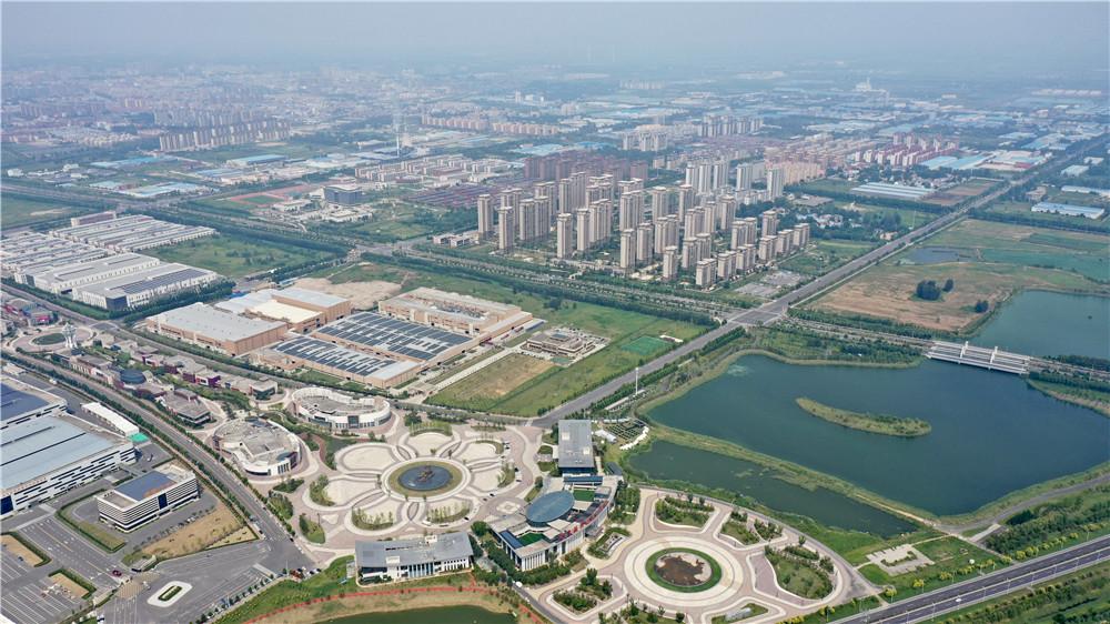 河南兰考:习习春风今又是 焦桐花开绽新颜 - 知乎