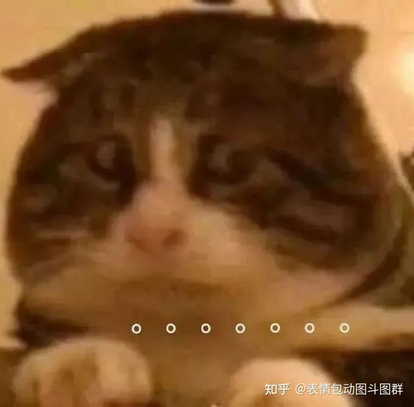 加表情包斗图群 - 知乎