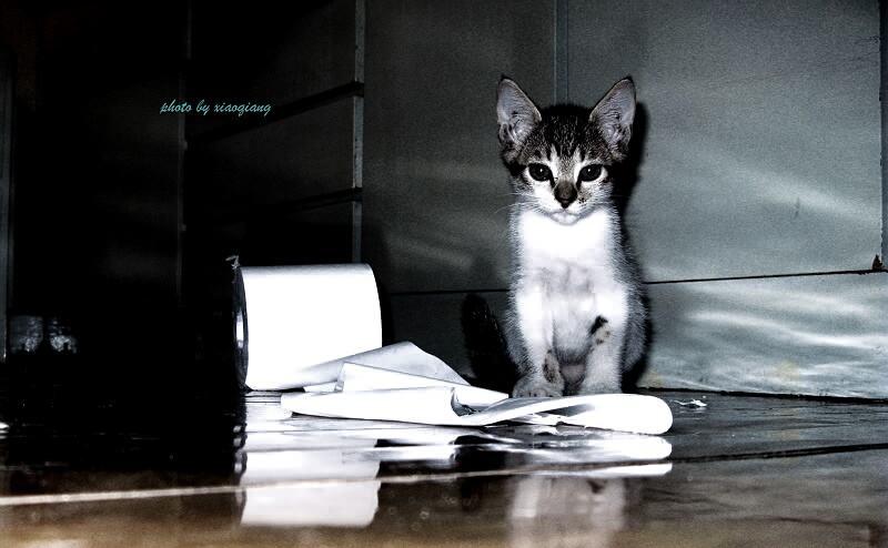 v2-f5600ab7c3b5bb9d405b7a17e71f714c_1440w.jpg?source=172ae18b