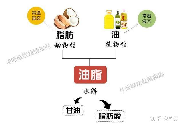 食用油怎么挑选最健康一文看懂油脂选择