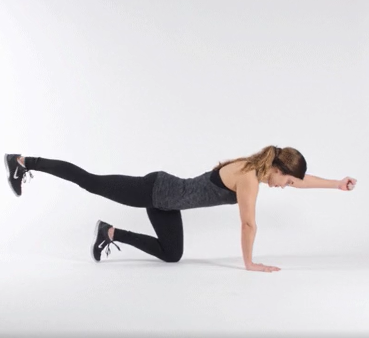 保持平衡和稳定的运动,猎鸟犬是一种全身运动,使您能够同时参与许多