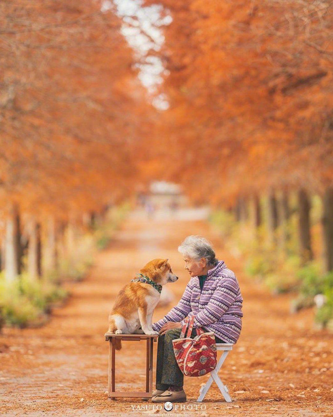 一人一狗一世界