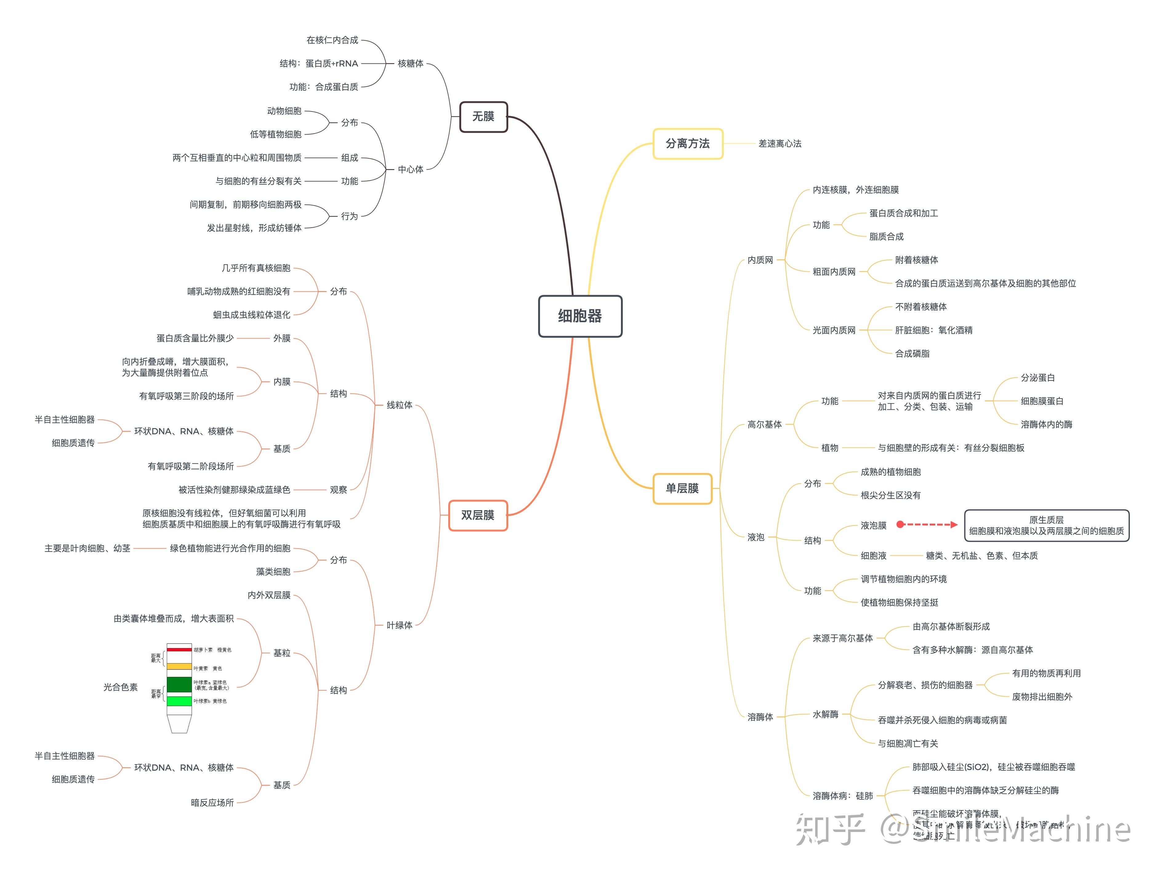 科学细胞思维导图图片