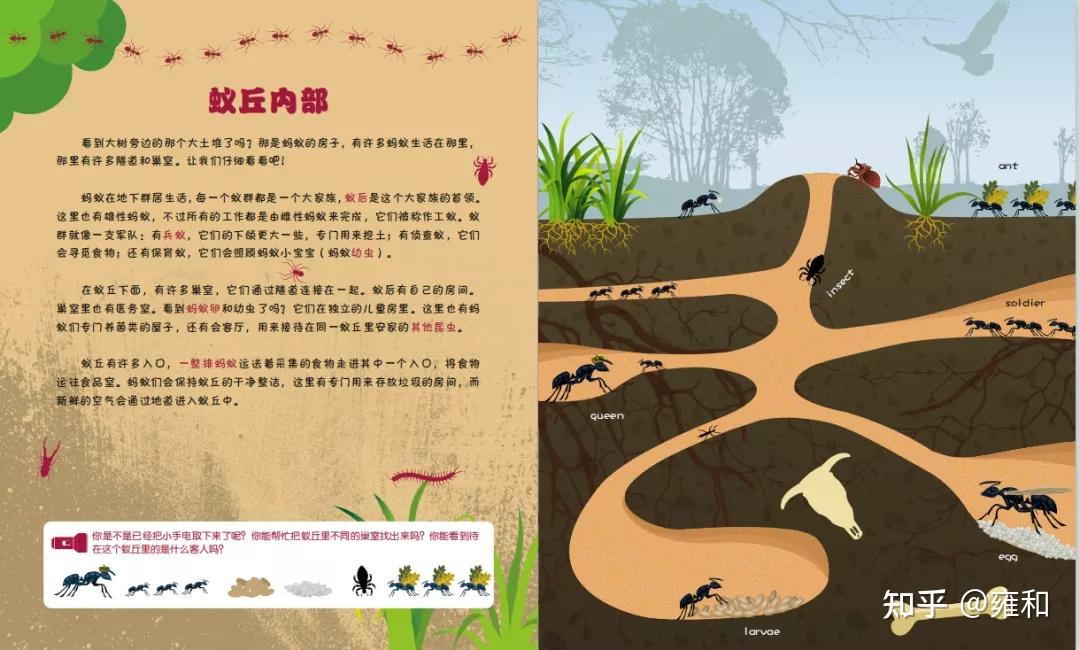 小手电探索大世界(第1辑)