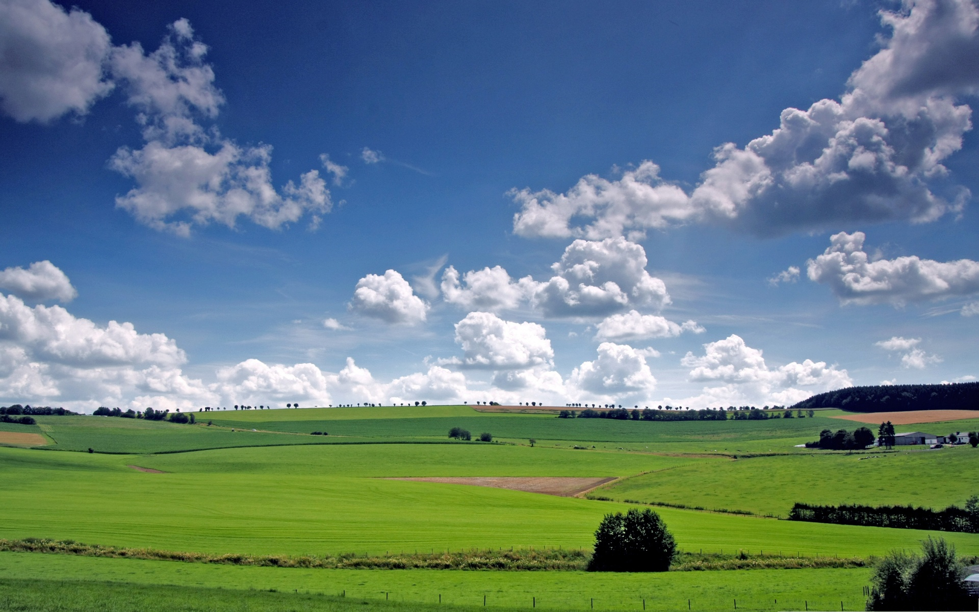 洮南函授大专报名条件