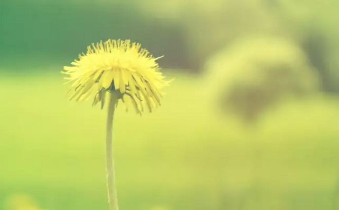 v2-f597db9d09bba833f7196d1658c33053_r.png