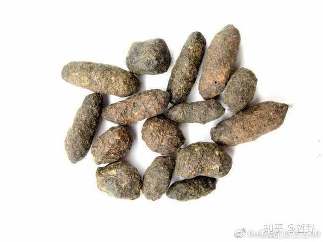 你不知不觉吃下去的重口味中药