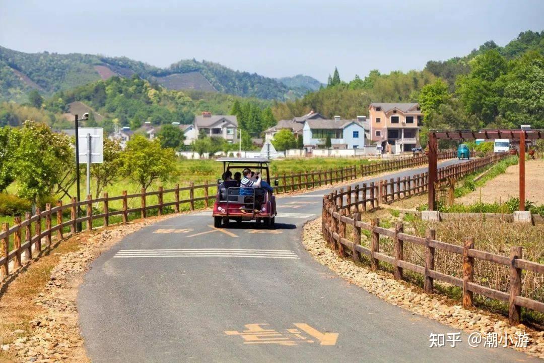 田园综合体:浙江鲁家村