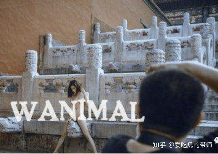 扒一扒打着艺术旗号的色影师王动