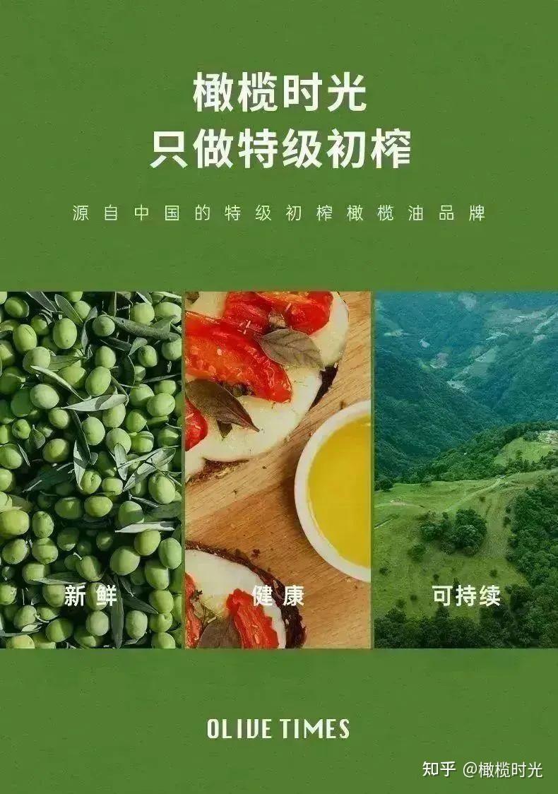 看好油橄榄大产业,投资3亿元,橄榄时光未来工厂建设全面启动 - 知乎