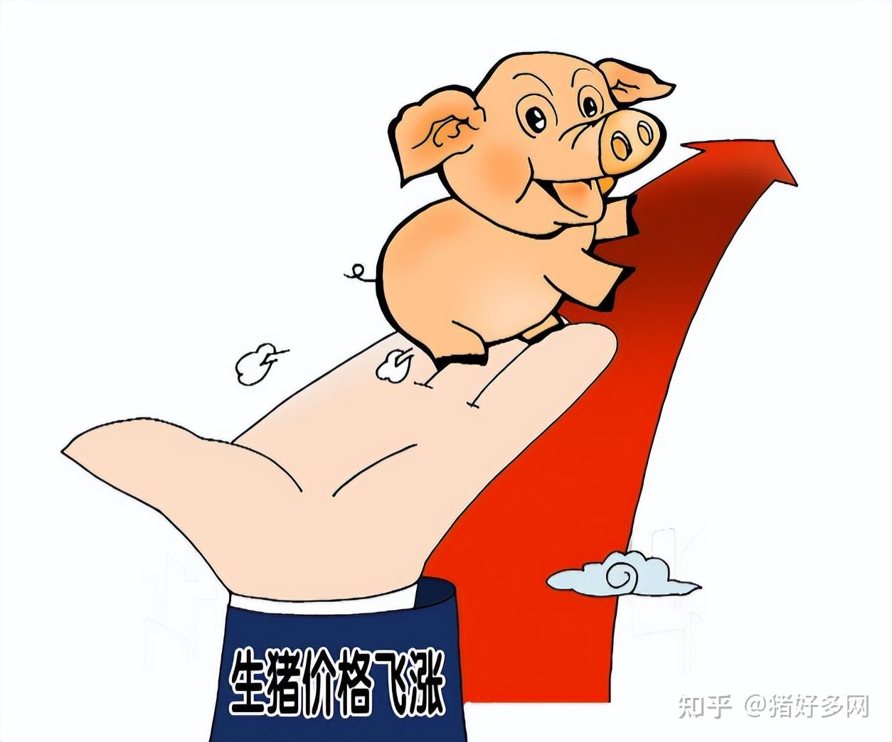 6月1日生猪价格迎开门红26省上涨6月猪价要冲击10元