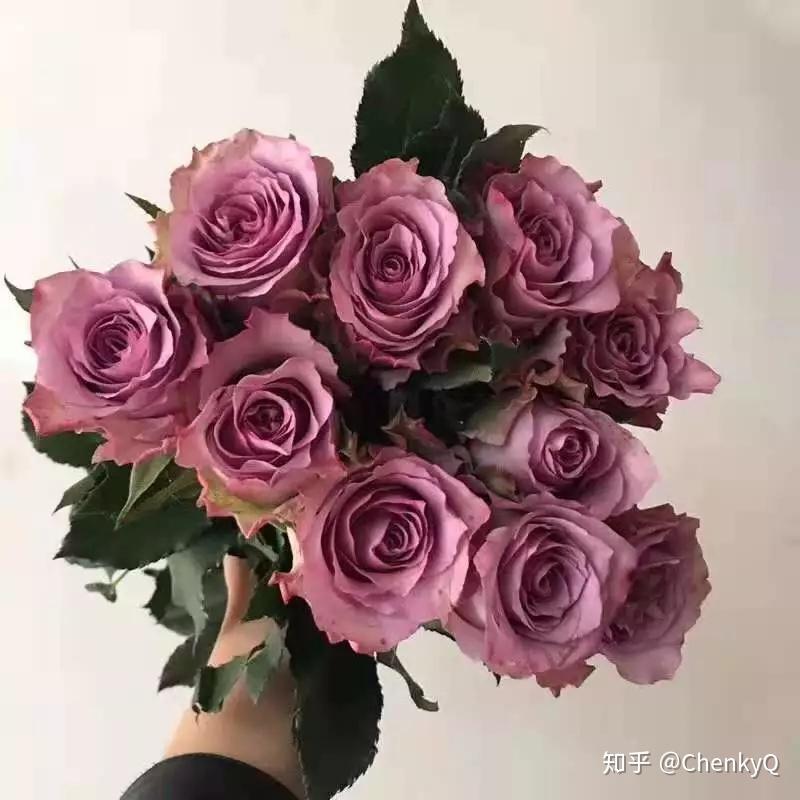紫霞仙子紫美人华贵人魅影多洛塔紫影泰姬紫玫瑰品种也比较多,有些