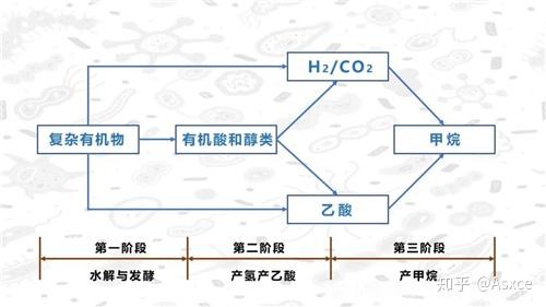 4,三阶段厌氧消化1)水解发酵菌工作职责:专性厌氧菌和兼性厌氧菌,复杂