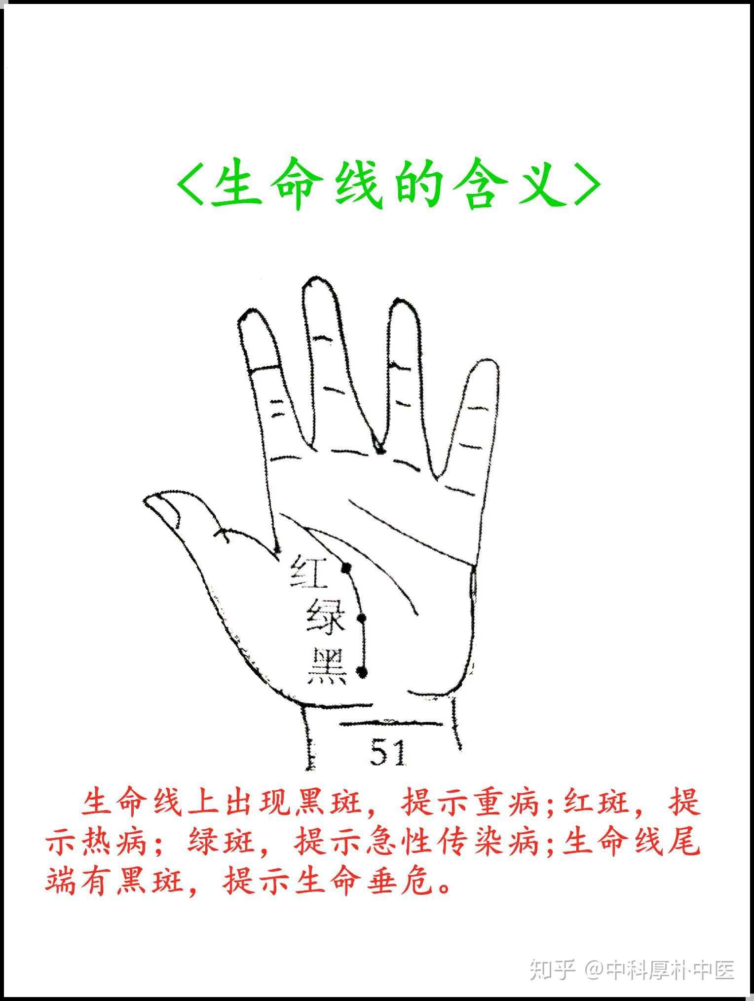 中医手诊图（连载九） - 知乎