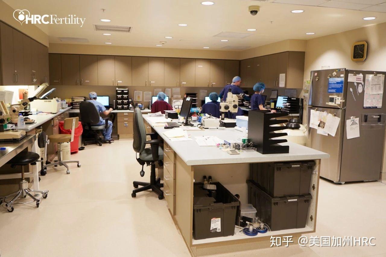 走进hrc世界顶级胚胎实验室大揭秘