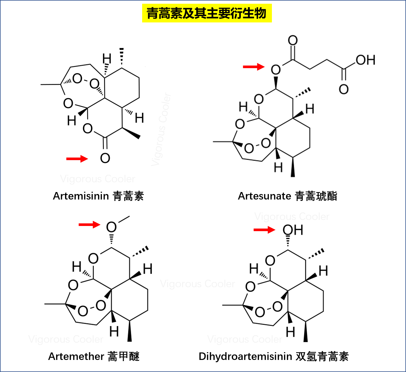 【分析】青蒿素可有望缓解新冠感染免疫损伤症状