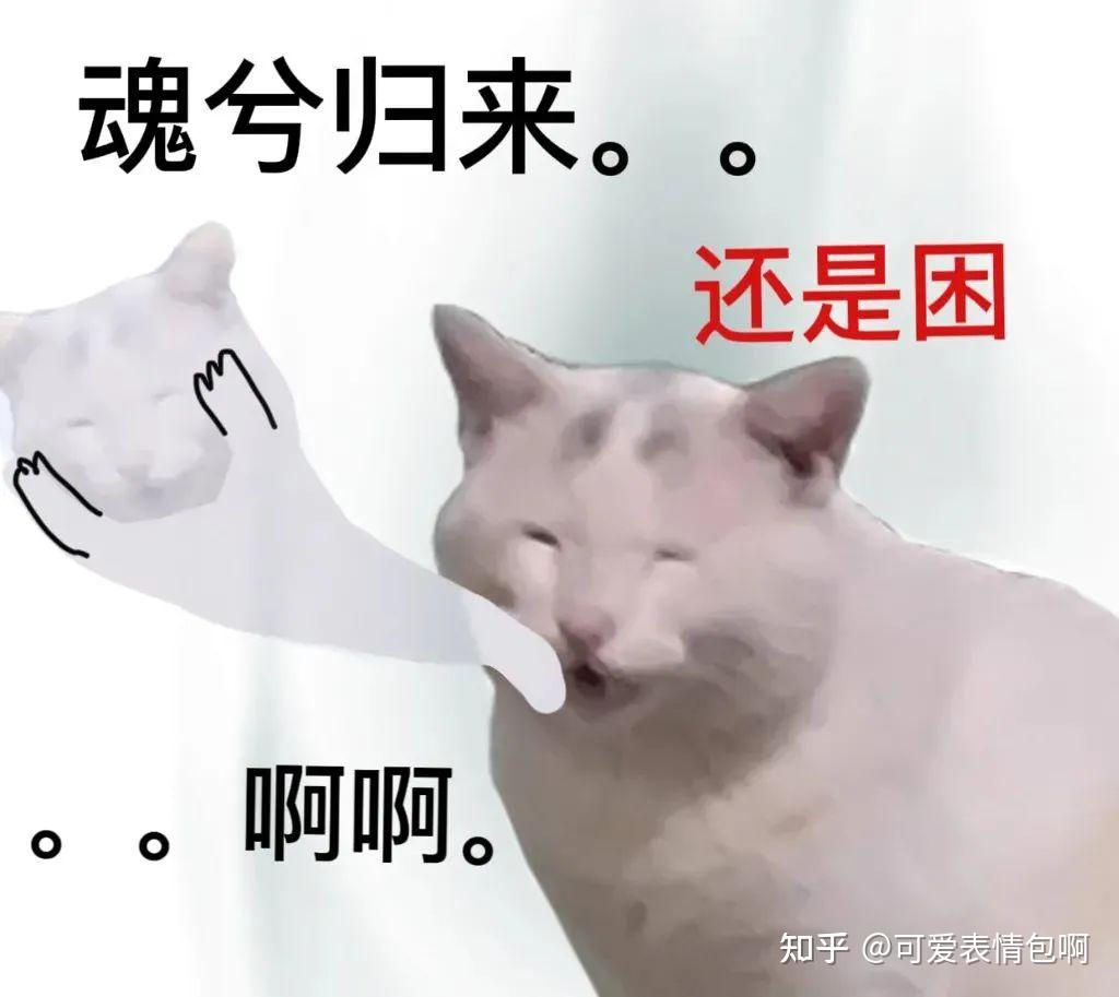“火热” | 双十一剁手表情包,再也不买了!gif动图 - 知乎