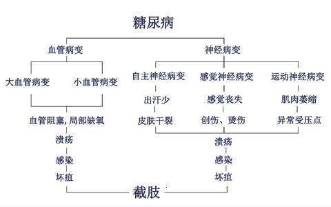 神经,肌腱,骨骼等部位的病变,由局部感染及多种诱因所致,糖尿病足是