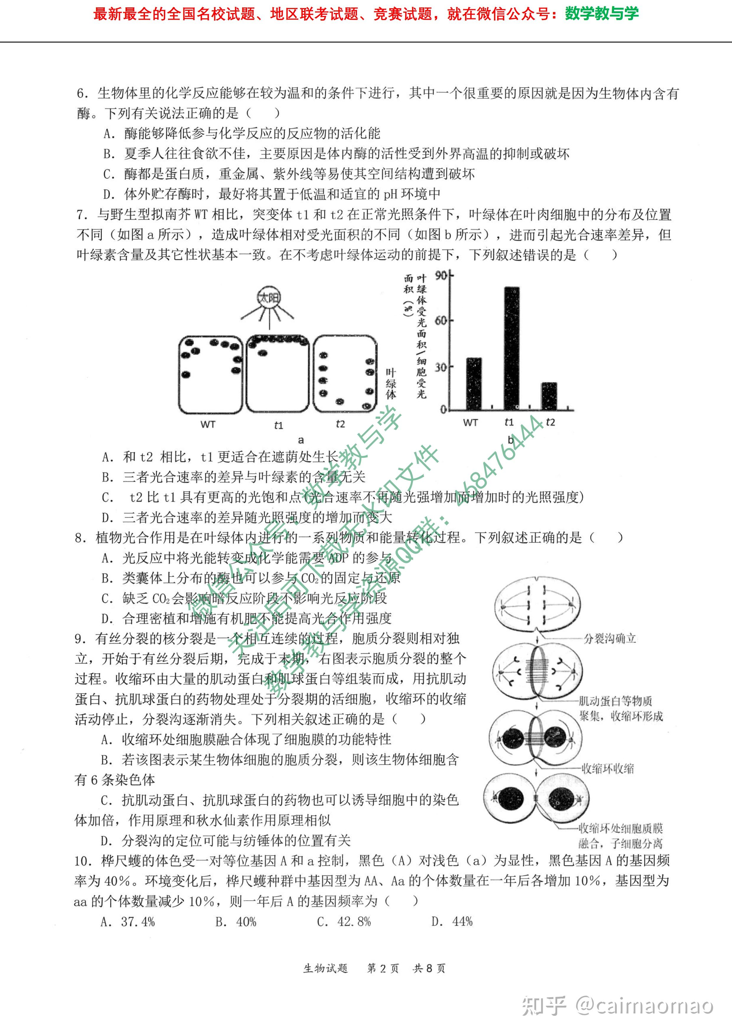 2022届t8联考八省八校联考高三上学期第一次联考生物试卷及答案