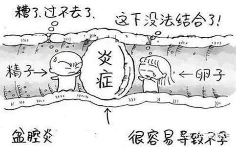 做供卵试管婴儿的产妇诊断