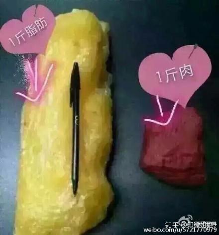 v2-f5ee8b8de48a6e8fdd51f9d6c0fcaee7_r.jpg