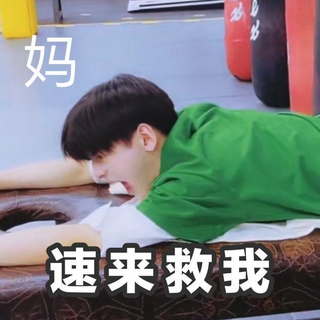 翟潇闻表情包 - 知乎