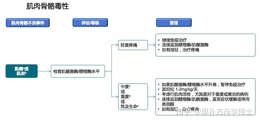 史上最全免疫治疗相关不良反应及处理