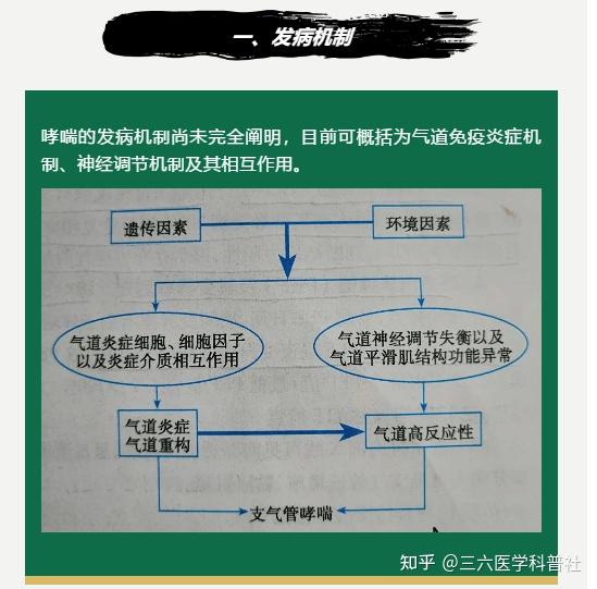 雕兄de醫學小課堂第六期支氣管哮喘