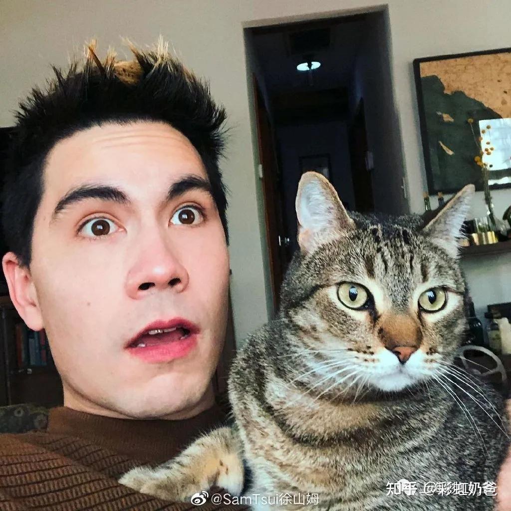 sam tsui很喜欢宠物美国社会其实谈不上有多开放,相比之下还没有欧盟