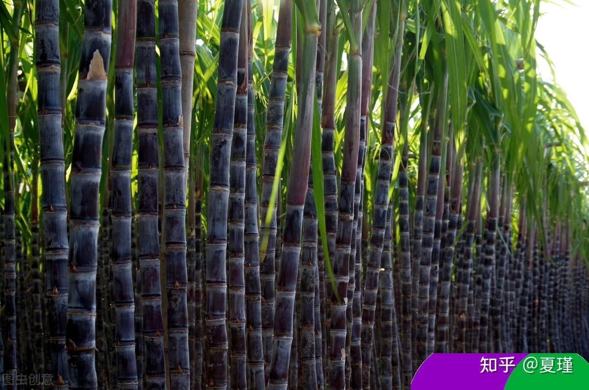 哥伦比亚是个什么样的国家?哥伦比亚是个穷国吗- 知乎